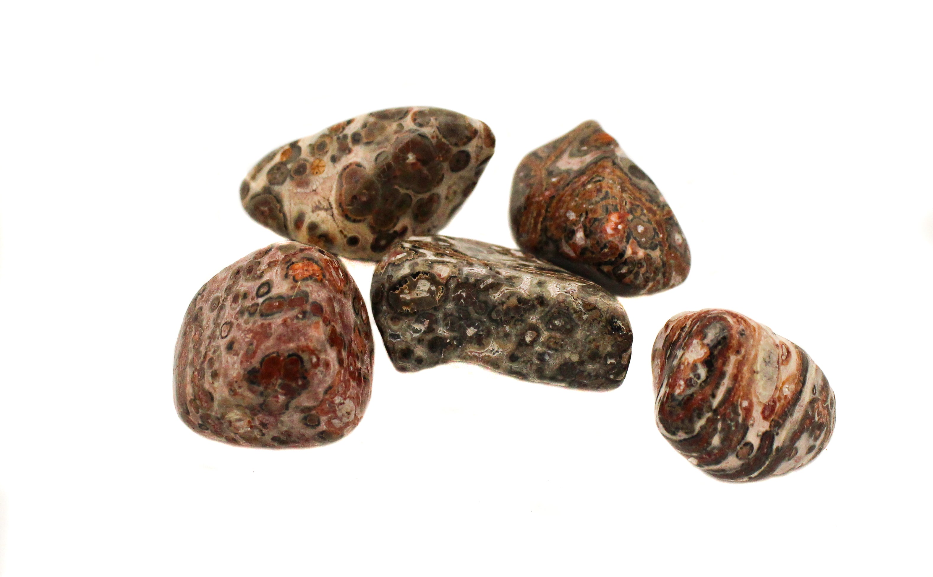 Jasper - Leopard Skin Tumble $7